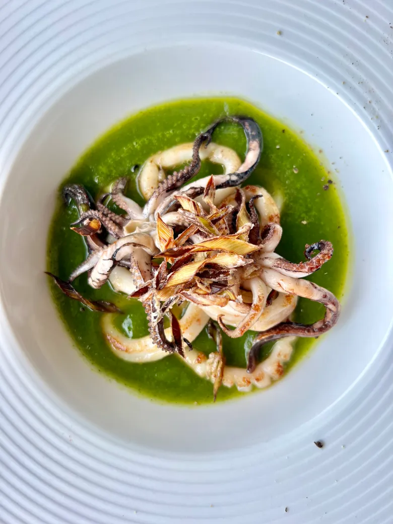 Calamari with bright green herb sauce