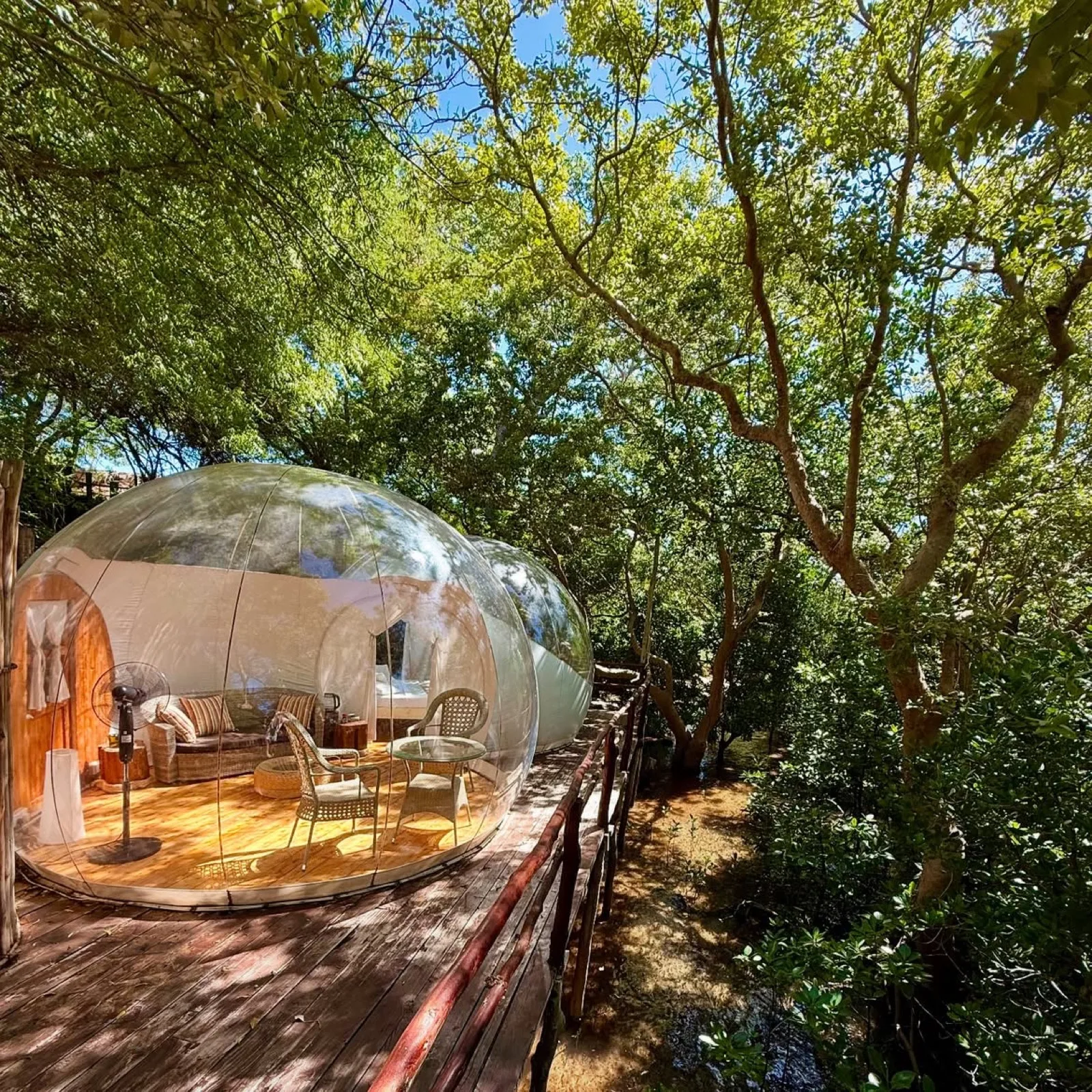 Inside a bubble lodge, the bed dressed with petals and open to the sea