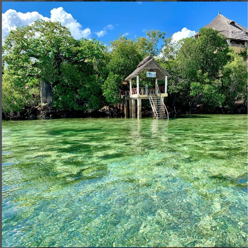 The traditional dhow Pepo Huru on the creek with the thatched restaurant standing on the rock behind