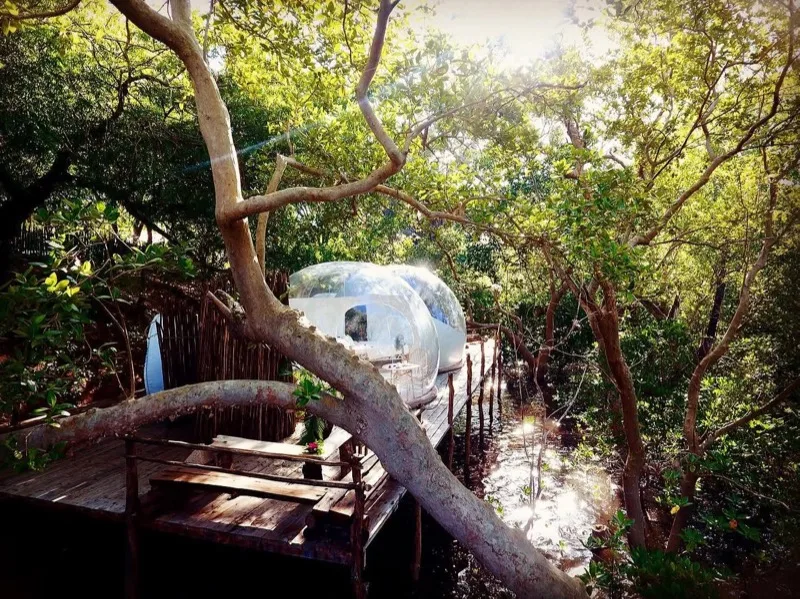 The bubble lodges and thatched suites of The Rock & Sea above the turquoise water of Mida Creek