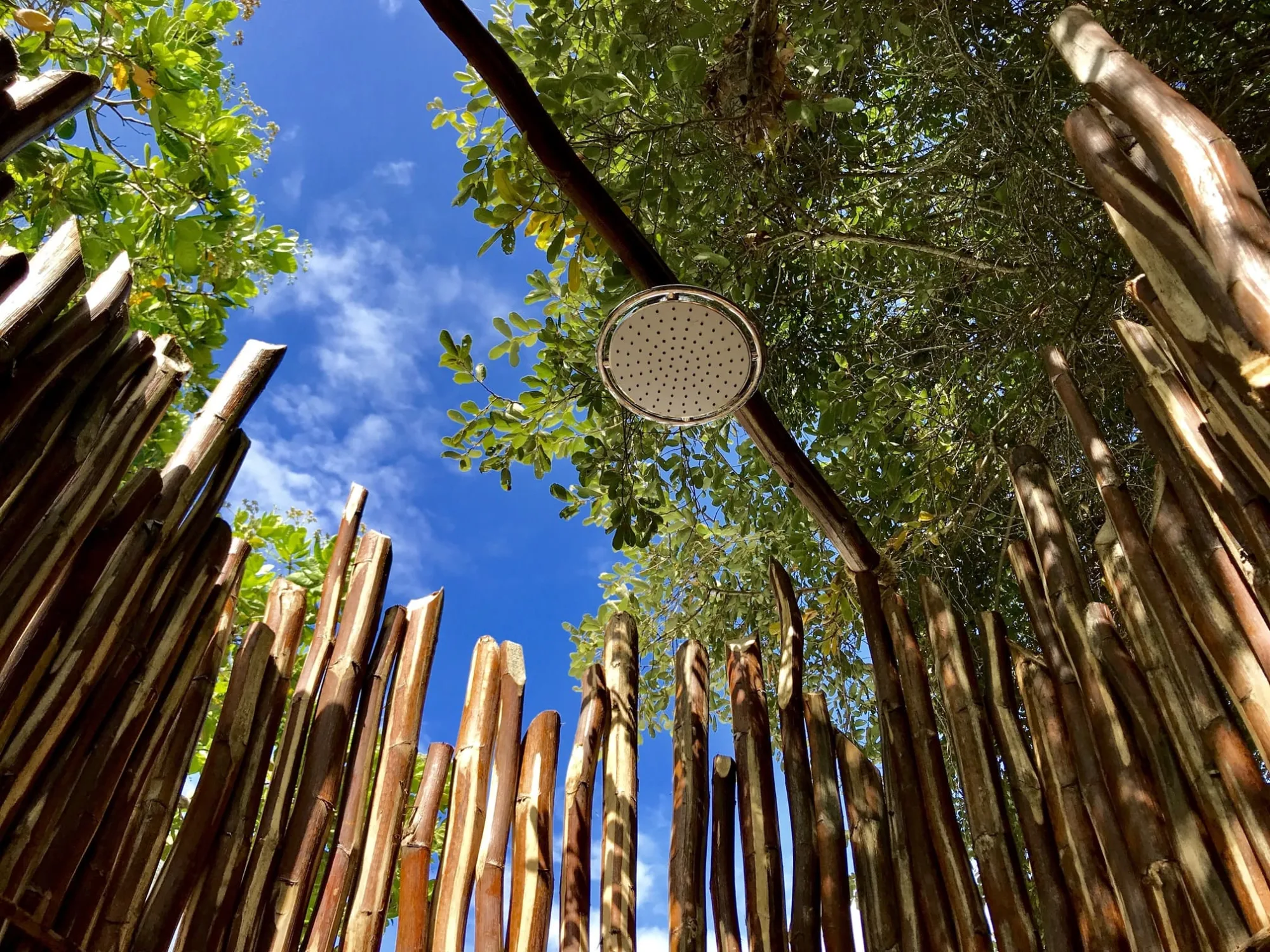 bush bubble lodge